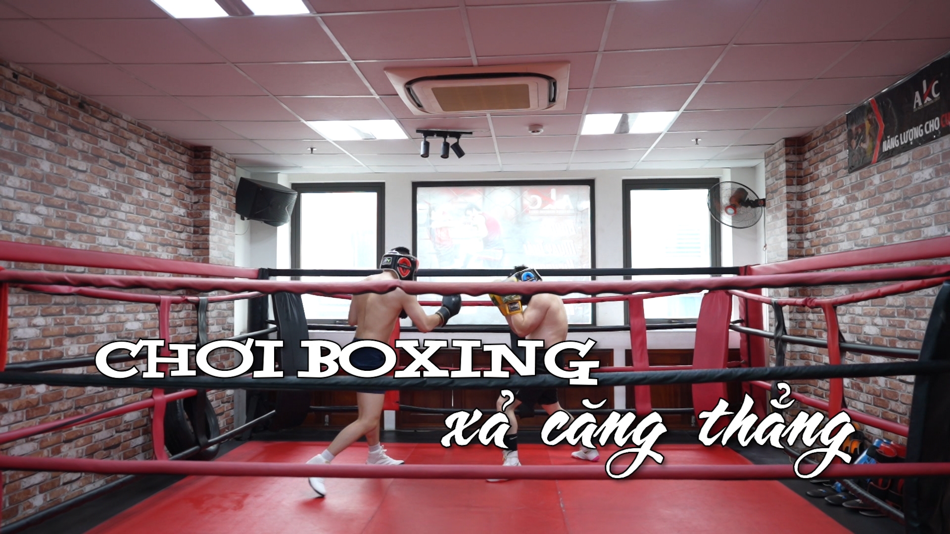 Chơi boxing xả căng thẳng | Nhịp sống Hà Nội | 19/06/2025