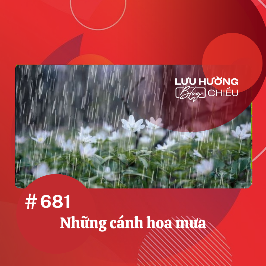 Những cánh hoa mưa