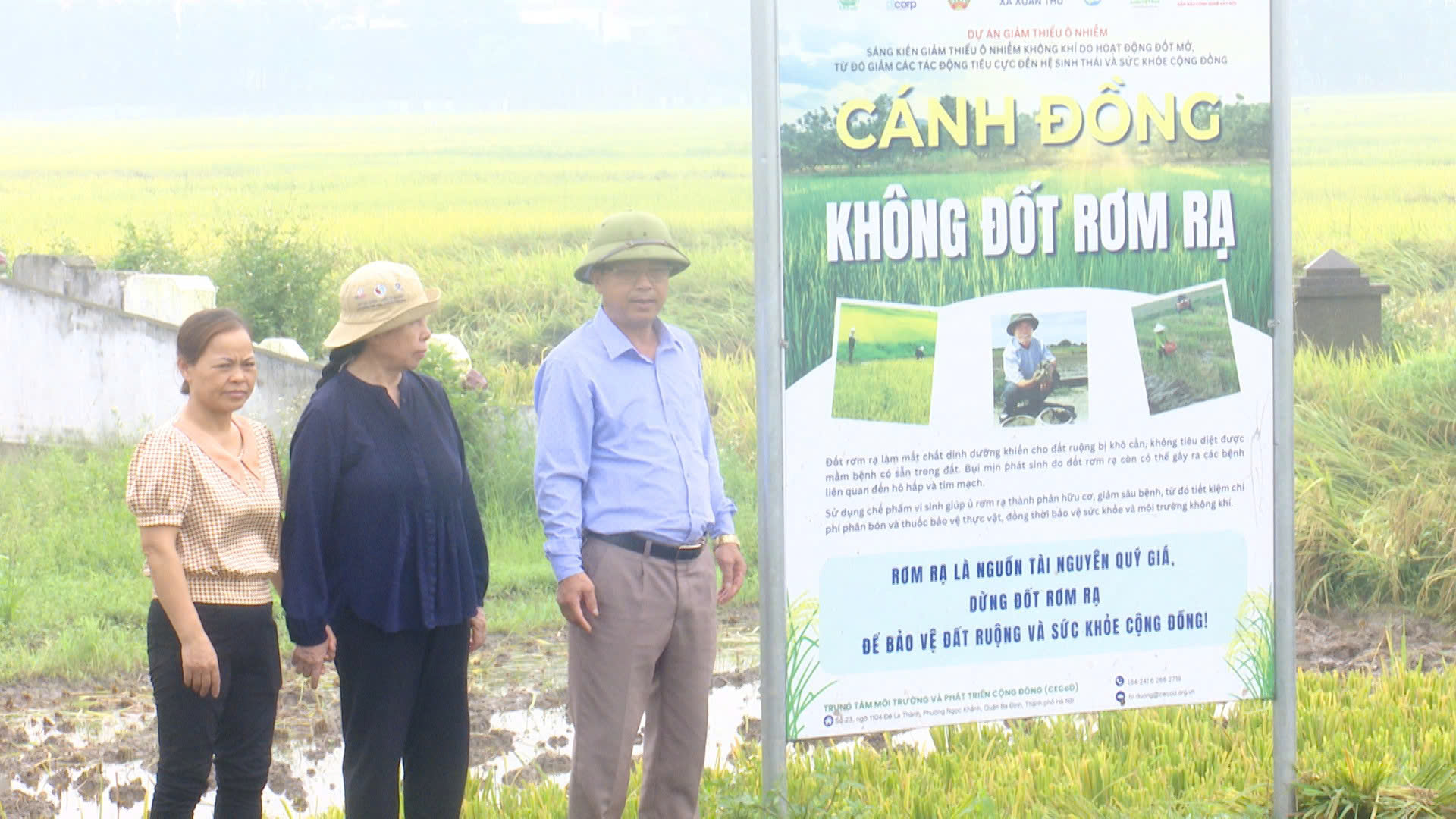 Cánh đồng không khói | Chuyển đổi xanh | 21/06/2025