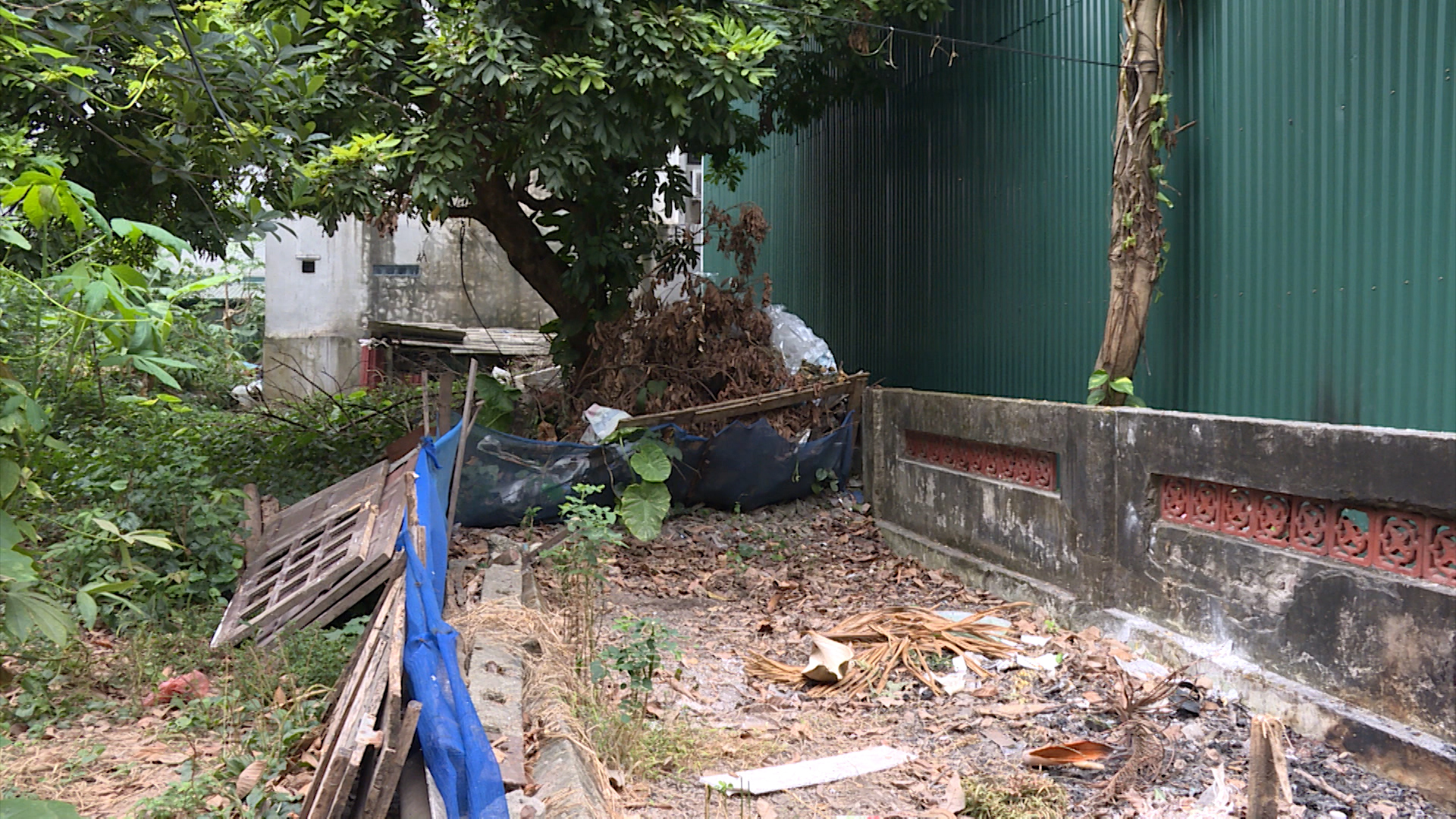 Thực hiện nghiêm túc công điện của Thành phố | Hộp thư truyền hình | 28/06/2025