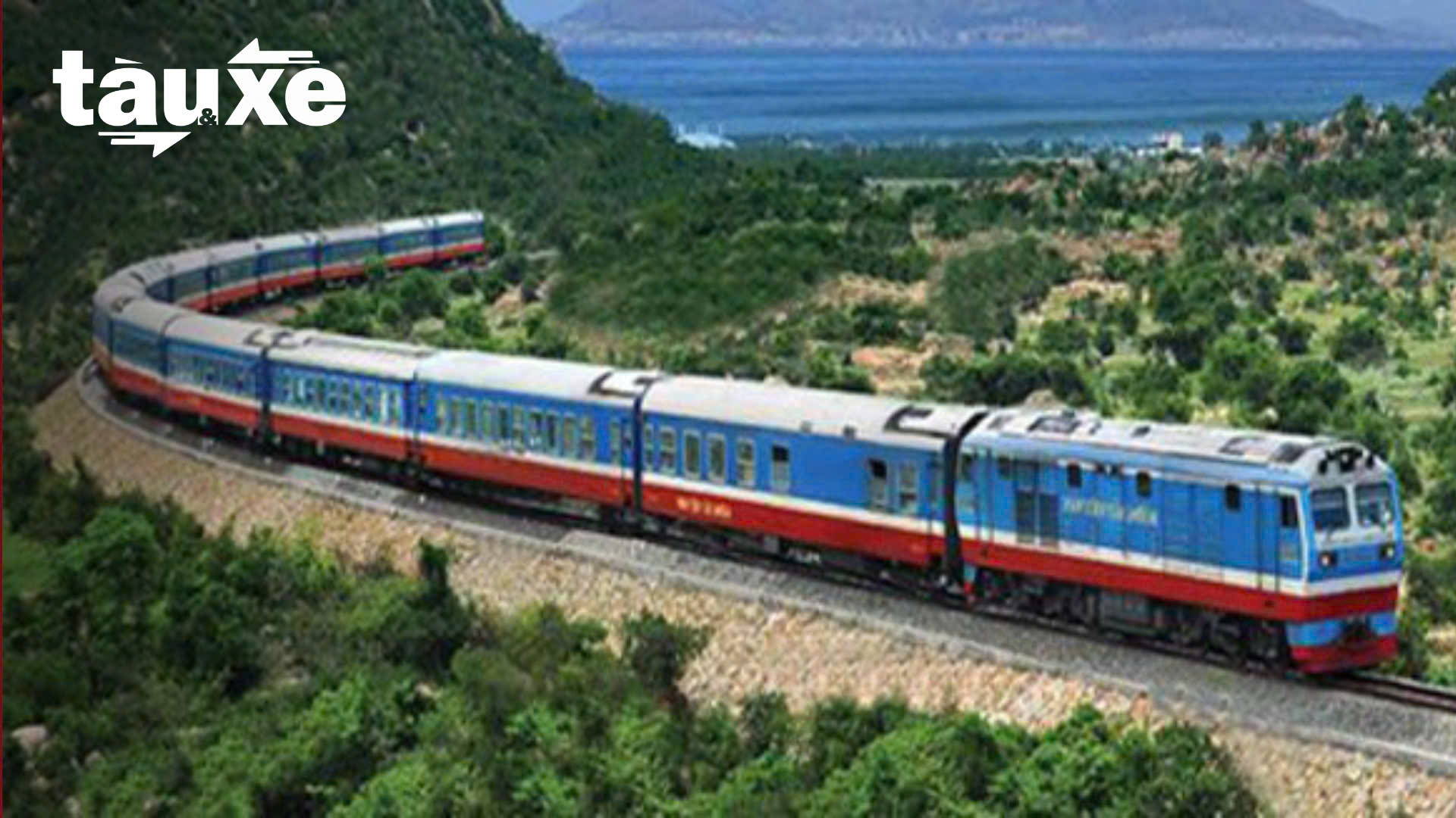 Các lựa chọn xe máy điện tại Việt Nam | Bản tin Tàu và Xe | 17/07/2025