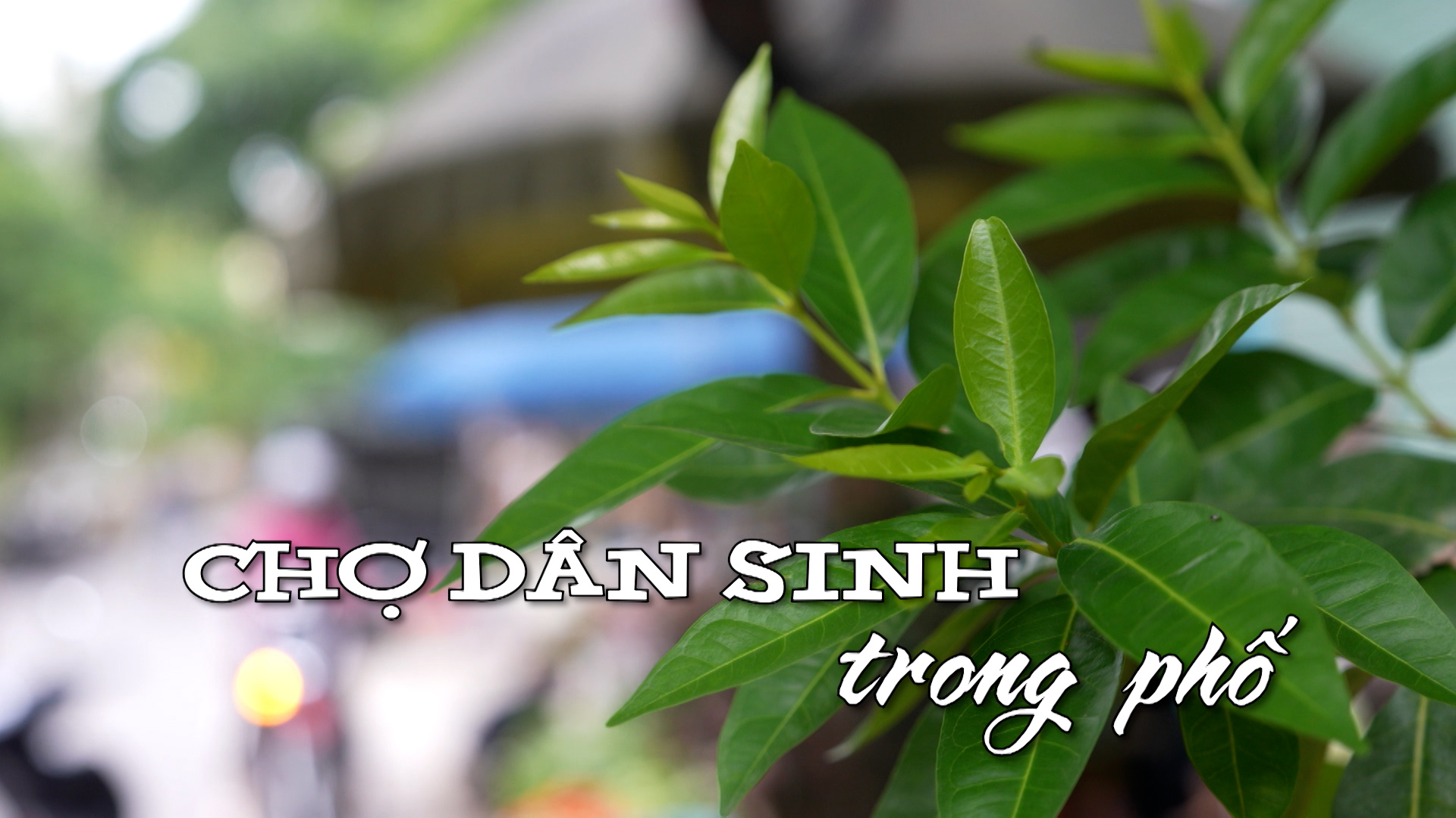 Chợ dân sinh trong phố | Nhịp sống Hà Nội | 02/07/2025