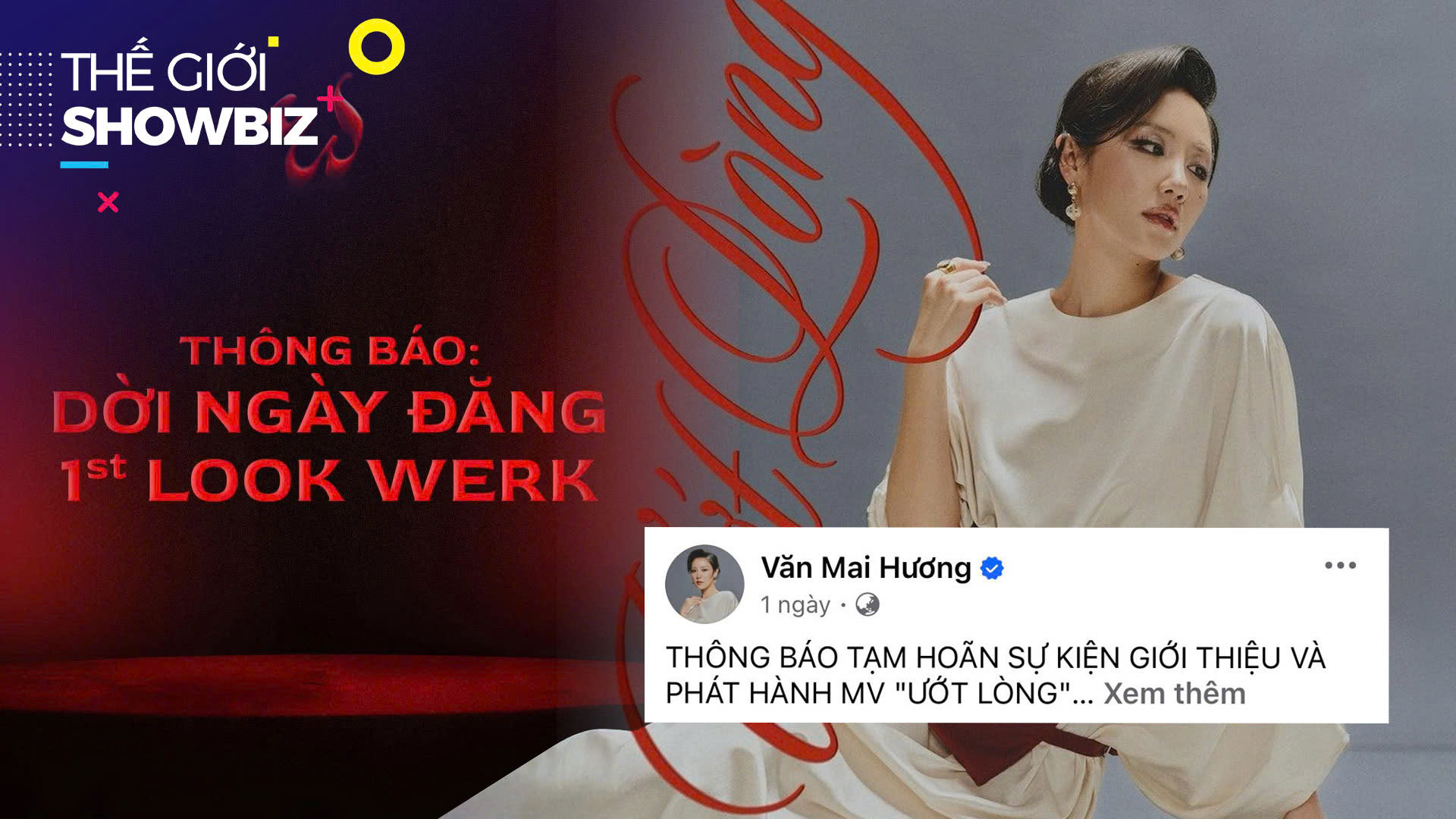 Nhiều nghệ sĩ hoãn ra mắt MV sau vụ lật tàu Hạ Long | Thế giới Showbiz | 21/07/2025