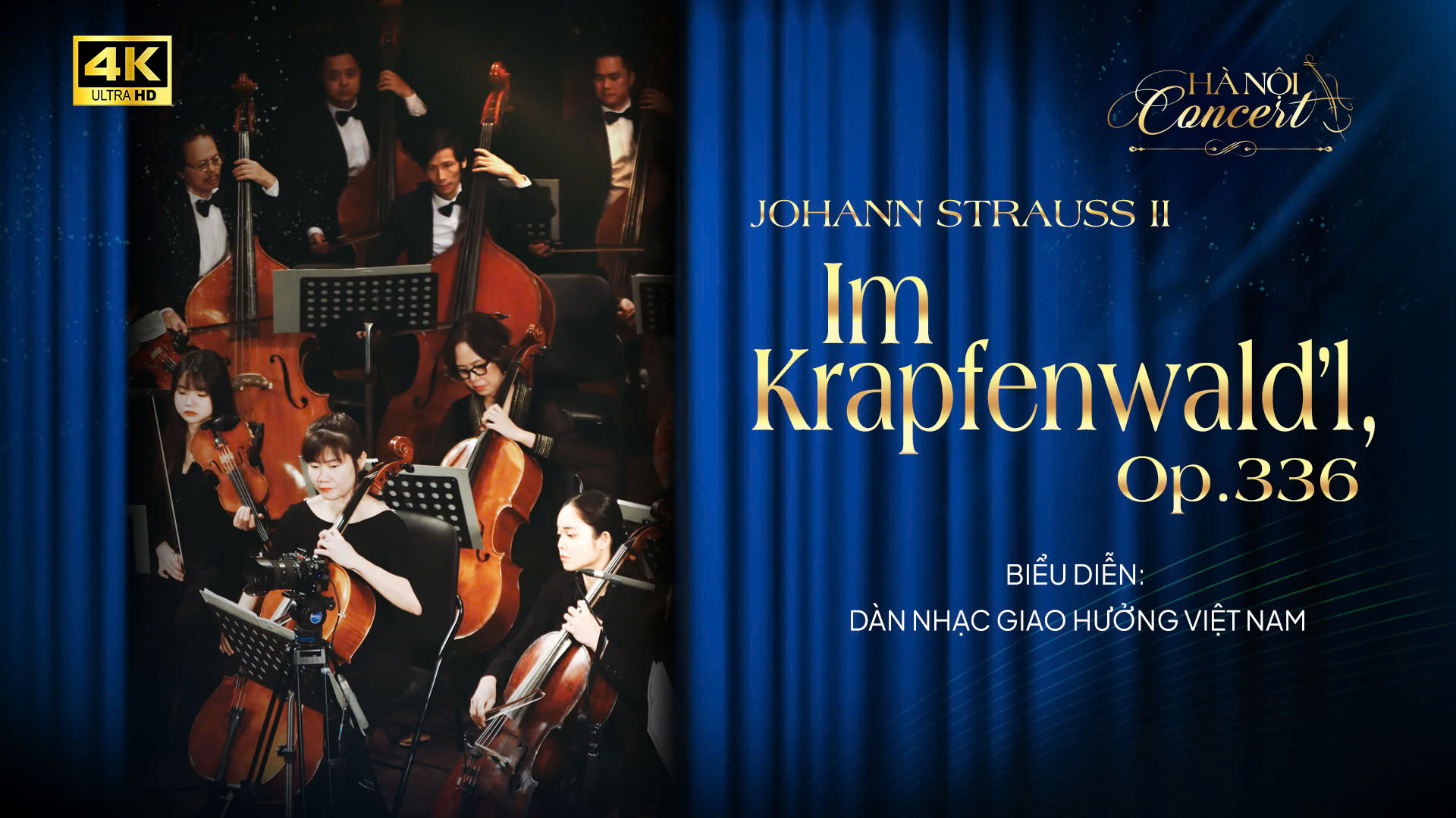 Im Krapfenwald’l, Op. 336