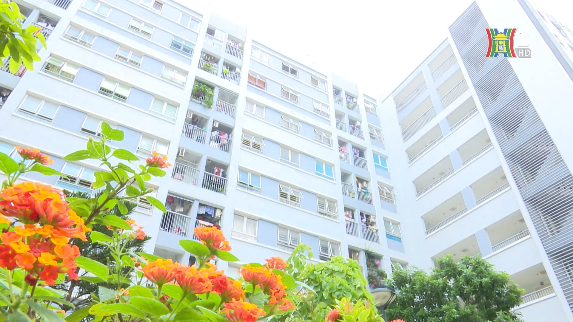 Chạm tay vào giấc mơ an cư | Phóng sự tài liệu | 07/07/2025
