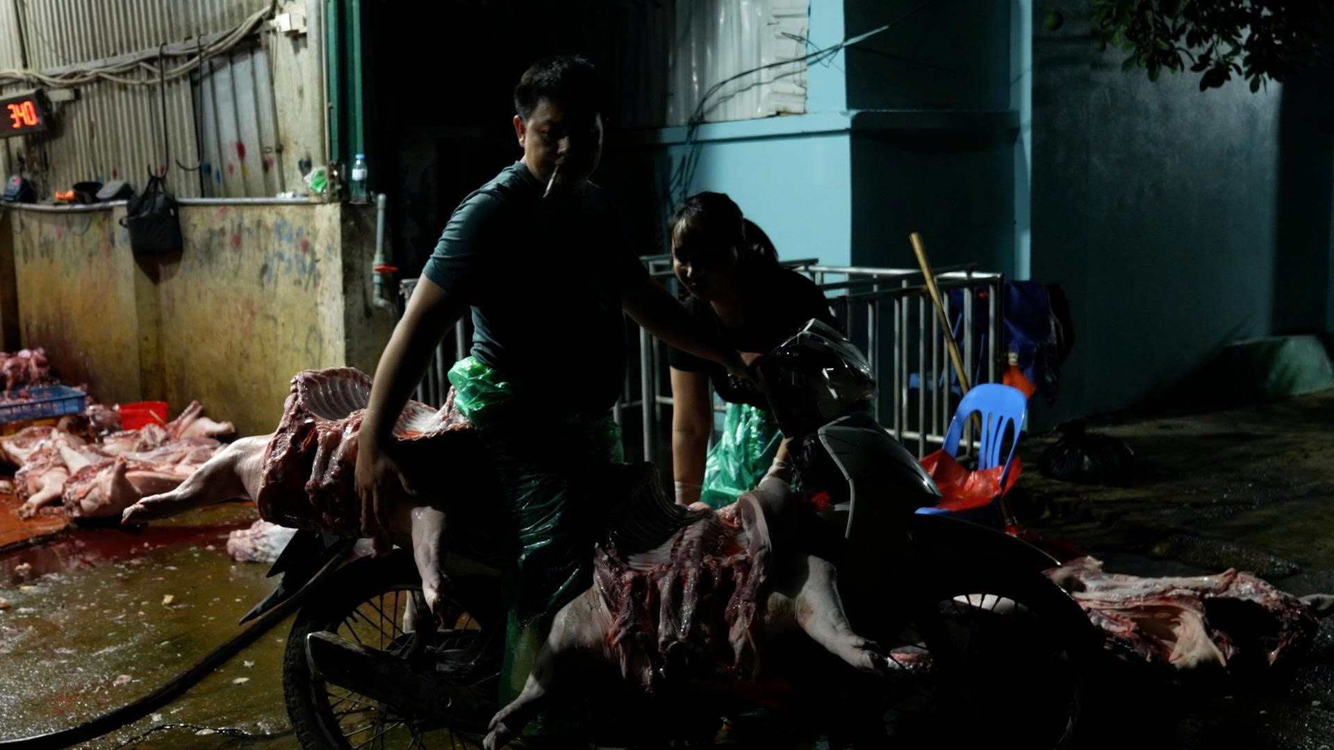 Bắt lợn bệnh