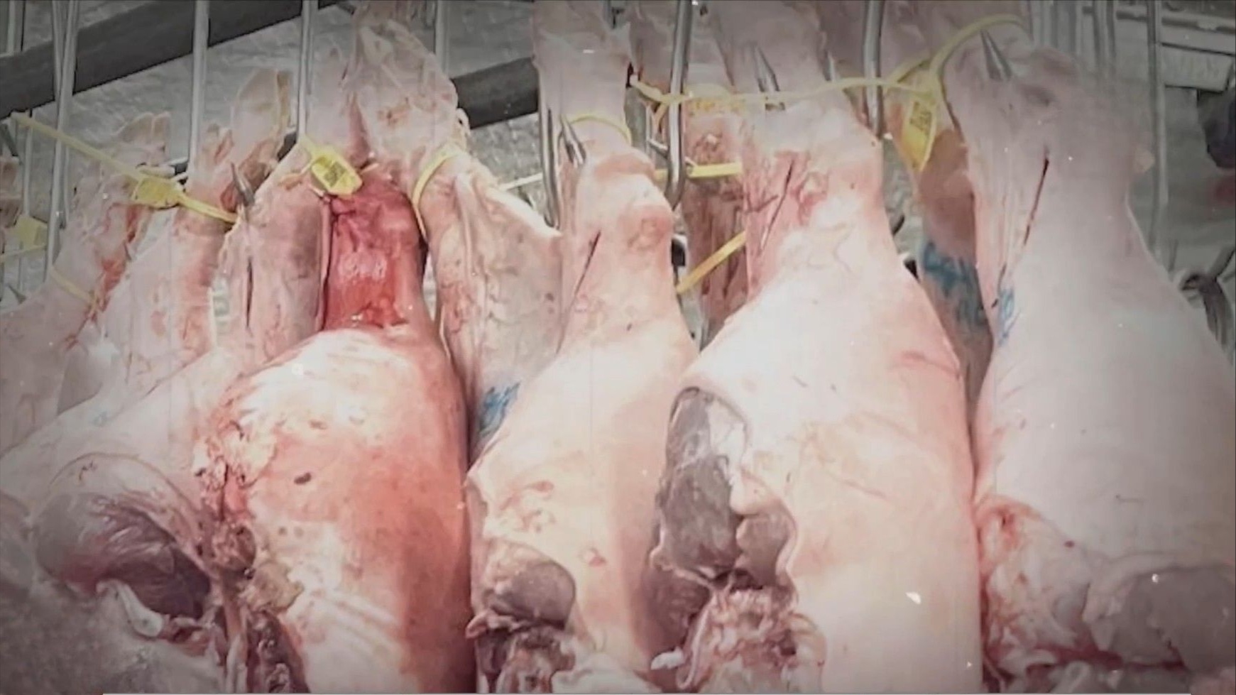 Lỗ hổng an toàn thực phẩm kéo theo hệ lụy kinh doanh