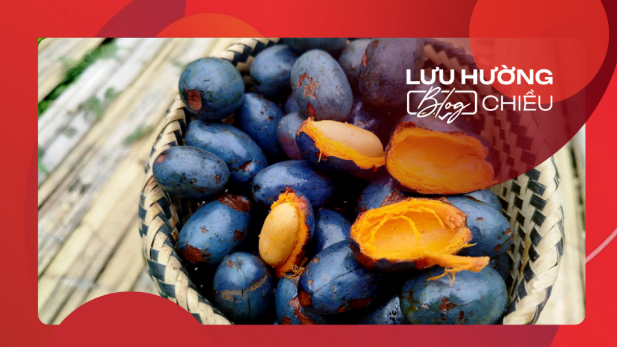 Nhớ món cọ ỏm quê nhà