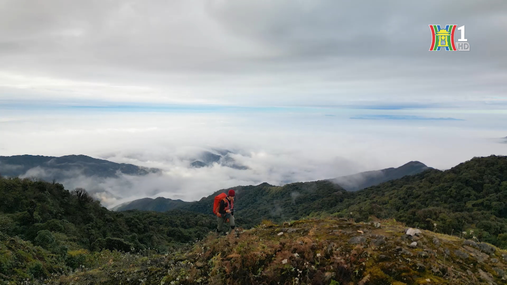 Chân trên đá, nhà trên núi | Phim tài liệu | 14/01/2026