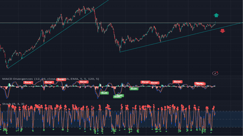 Cơ hội đầu tư năm 2026