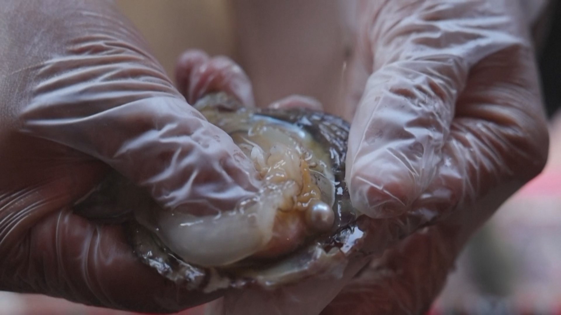 UAE gìn giữ di sản ngọc trai