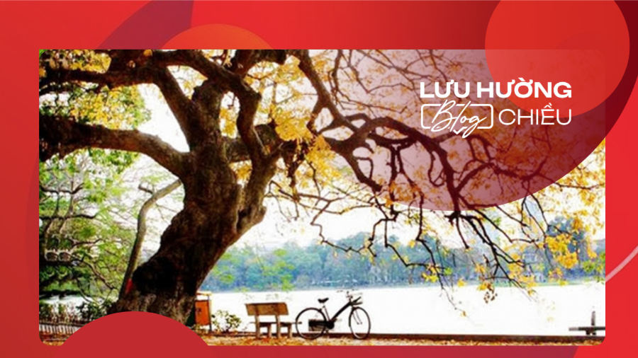 Dịu ngọt nắng đông