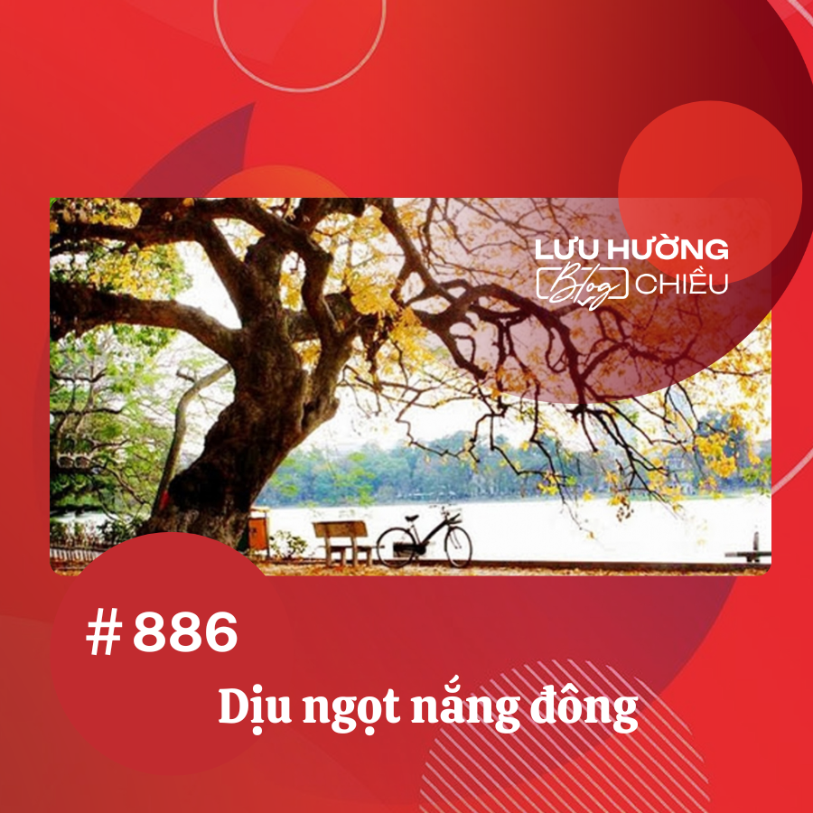 Dịu ngọt nắng đông