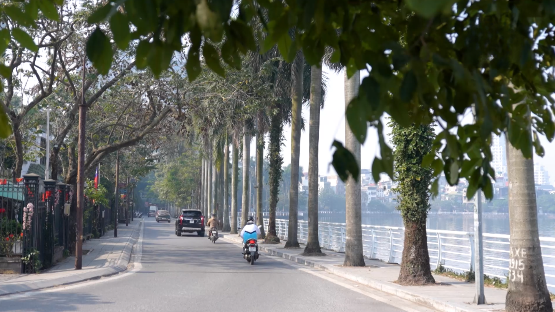 Nguyễn Đình Thi - con phố thơ mộng bên Hồ Tây | Hà Nội đến để yêu | 16/01/2026