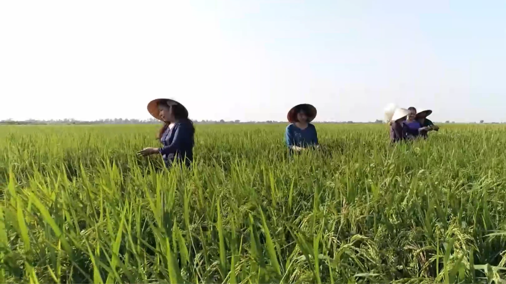 Hành trình xanh ở một trang trại chăn nuôi | Chuyển đổi xanh | 17/01/2026