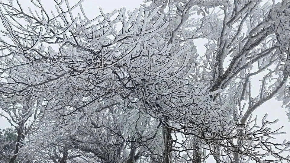 Miền Bắc khả năng xuất hiện băng giá do không khí lạnh