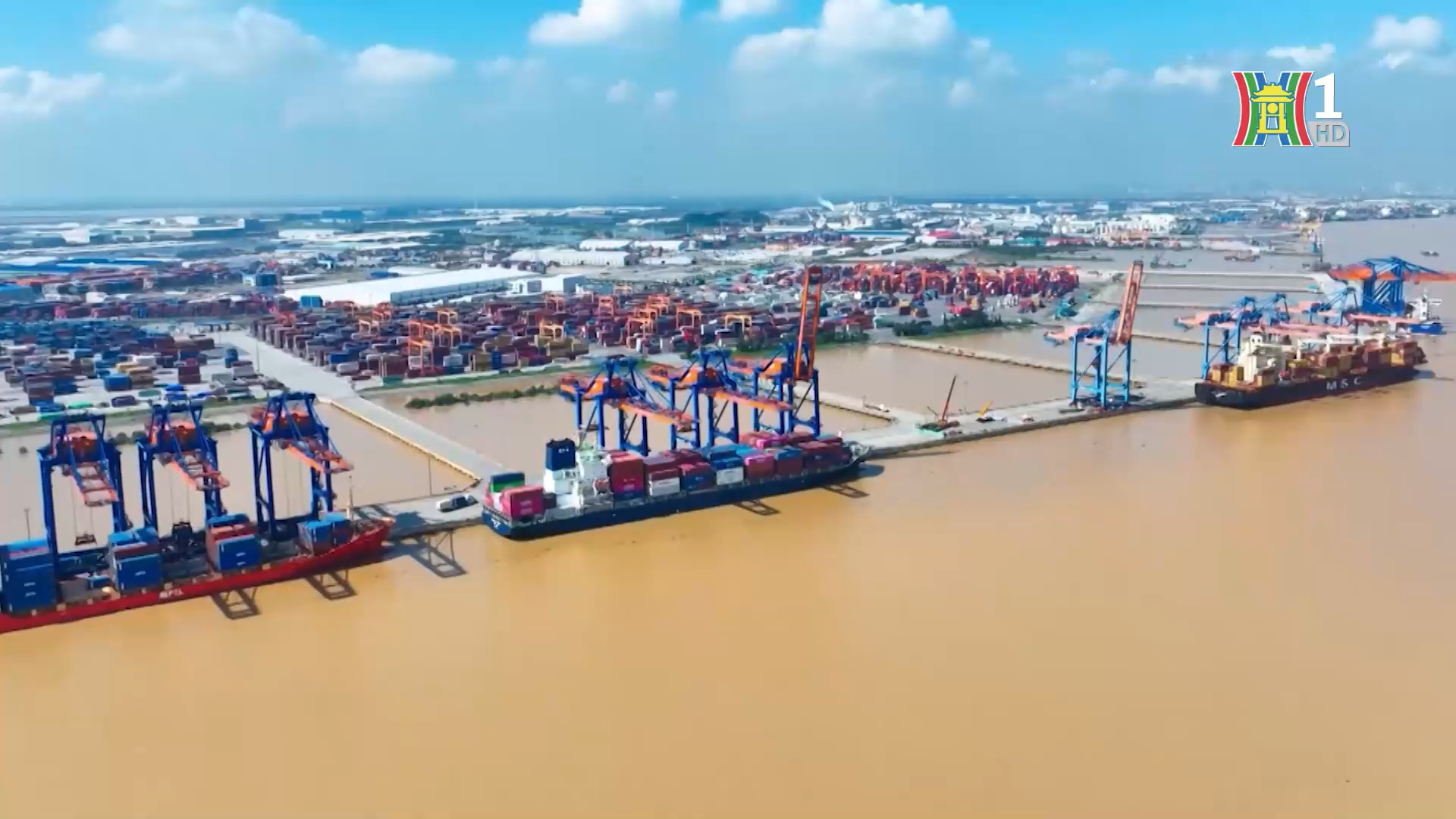 Phát triển cảng biển – Kinh nghiệm của Hà Lan | Thủ đô và thế giới | 24/01/2026