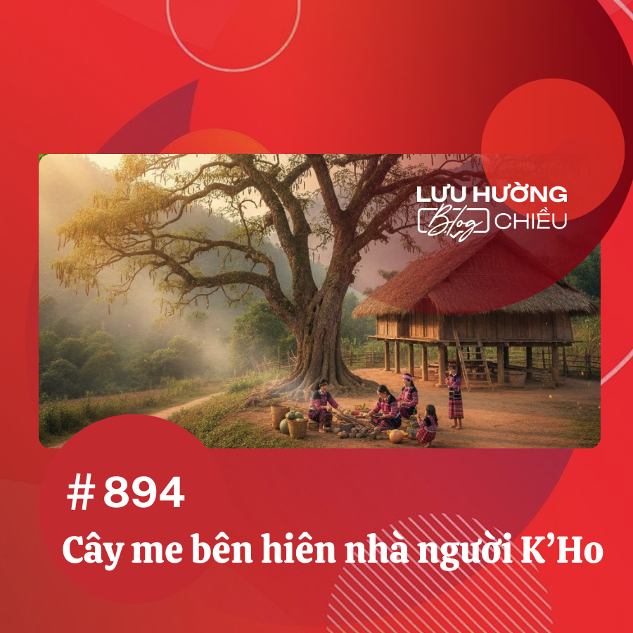 Cây me bên hiên nhà người K’Ho