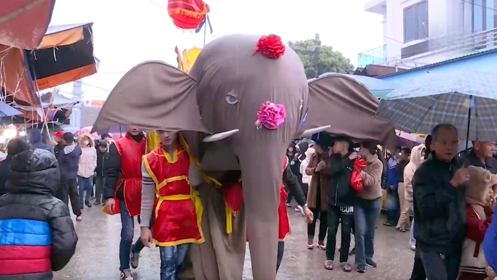 Độc đáo lễ hội rước voi Đào Xá | Trăm miền hội tụ | 23/01/2026