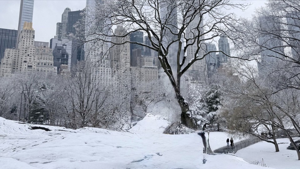 Bão tuyết ảnh hưởng tới 230 triệu người Mỹ