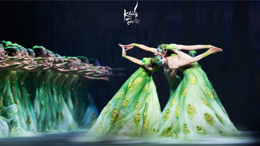 Chim công làng múa diễn vở vũ kịch 'Khổng Tước' tại Việt Nam