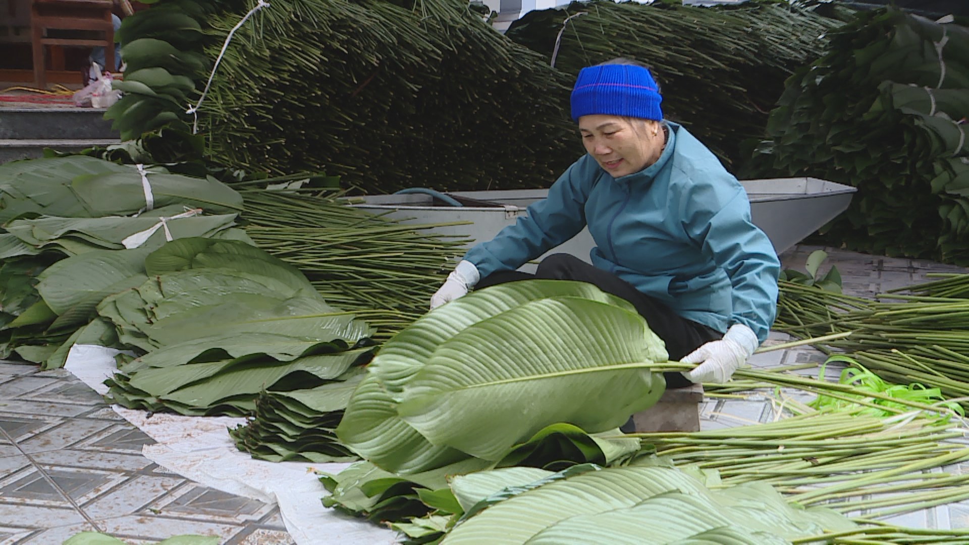 Làng lá dong Tràng Cát vào vụ Tết