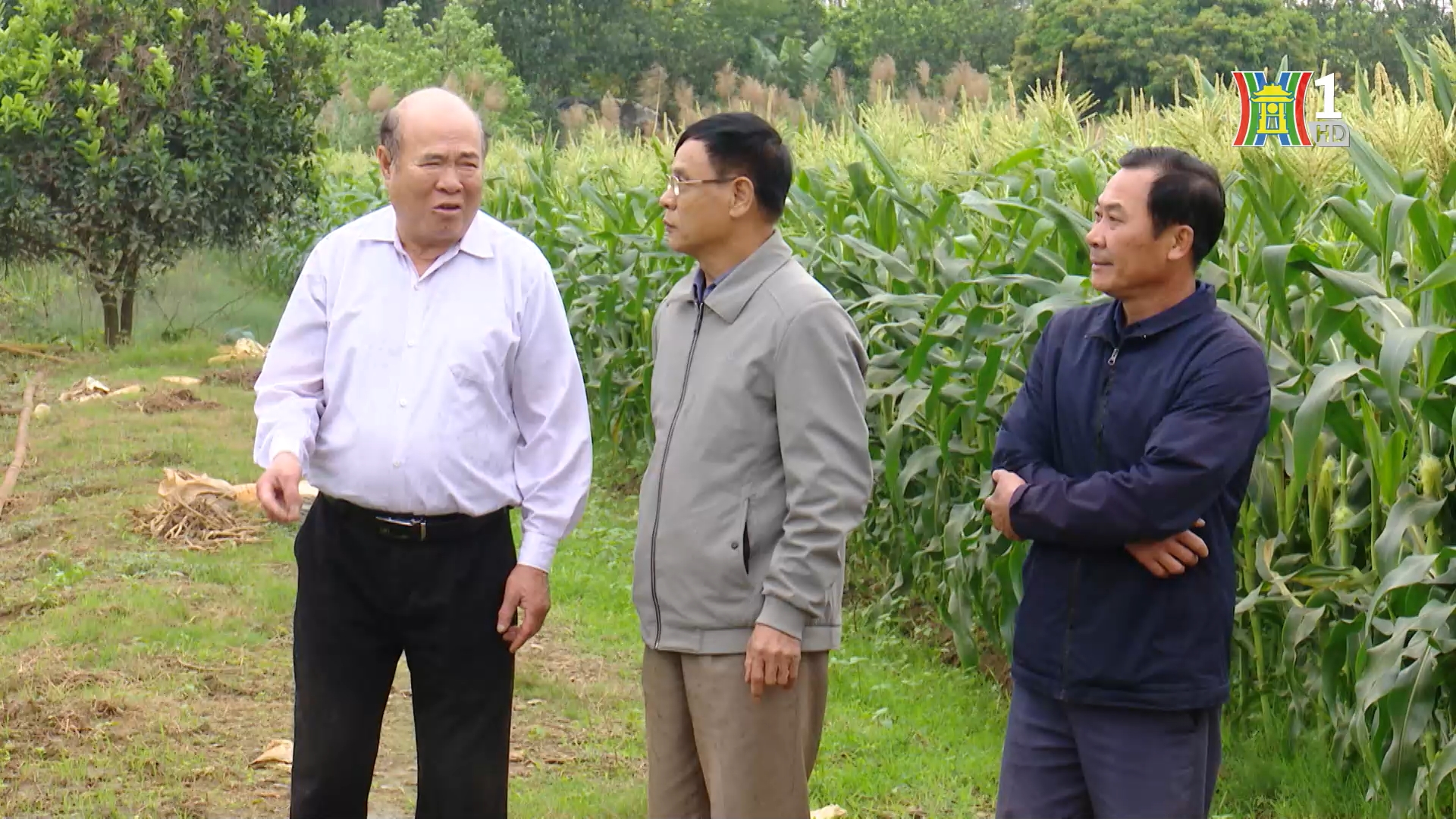 Người cựu chiến binh có tấm lòng nhân ái | Người tốt quanh ta | 29/01/2026