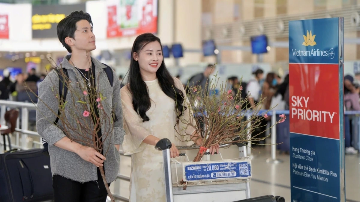 Hàng không vận chuyển đào, mai dịp Tết Bính Ngọ