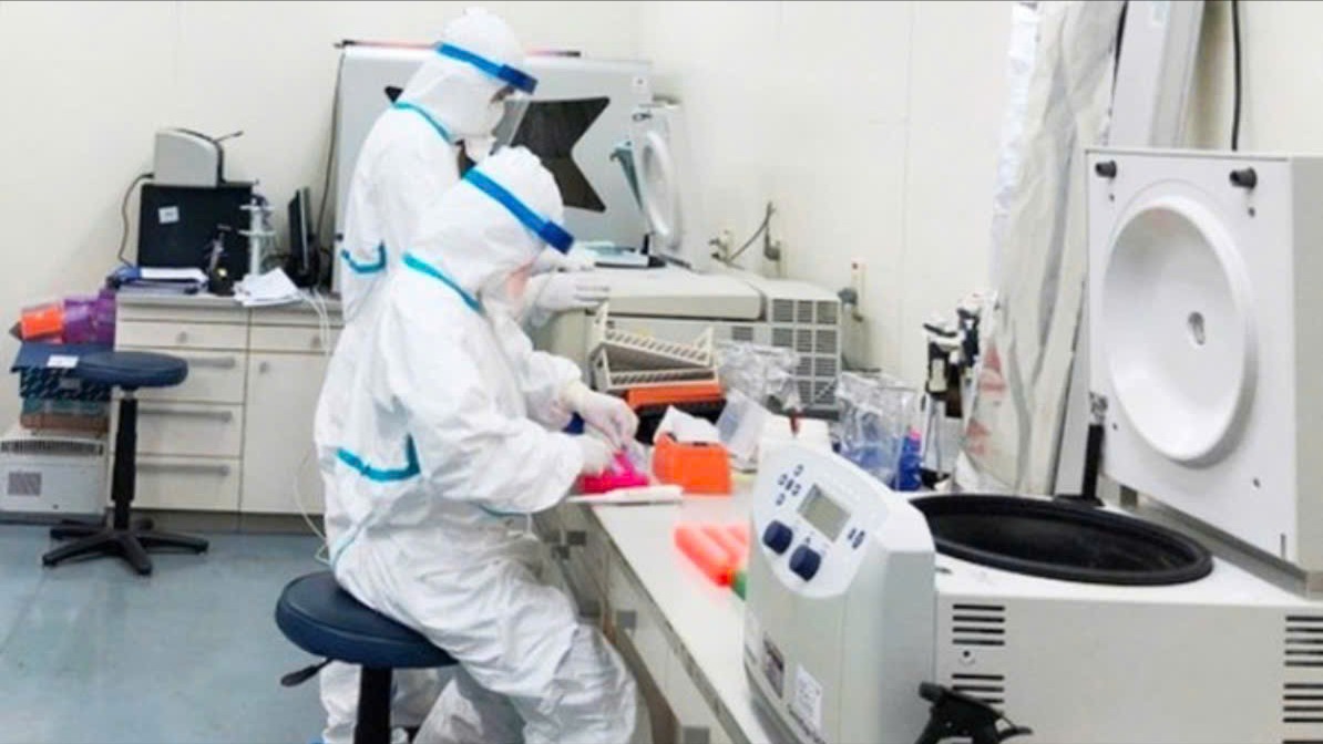 Chủ động nguồn lực ứng phó với dịch bệnh virus Nipah