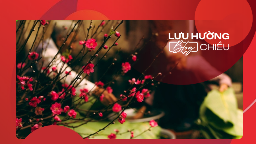 Nôn nao trông Tết về nhà