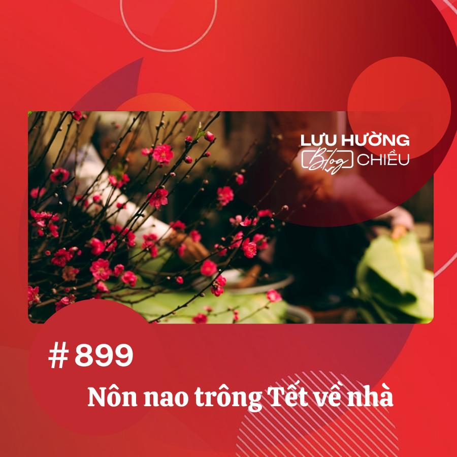 Nôn nao trông Tết về nhà