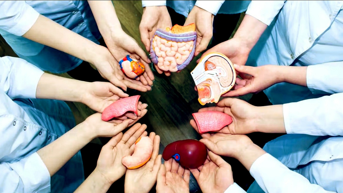 Sau hiến tạng: Hành trình được tiếp sức