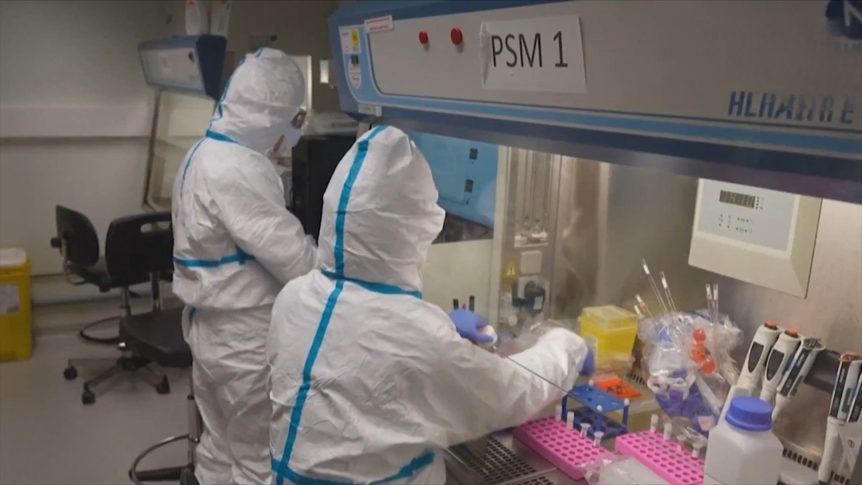 Việt Nam chưa ghi nhận trường hợp mắc bệnh do virus Nipah