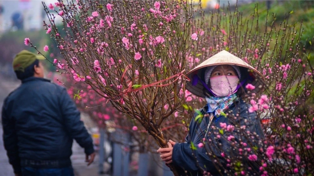 Dự báo xu thế thời tiết Tết Nguyên đán Bính Ngọ 2026