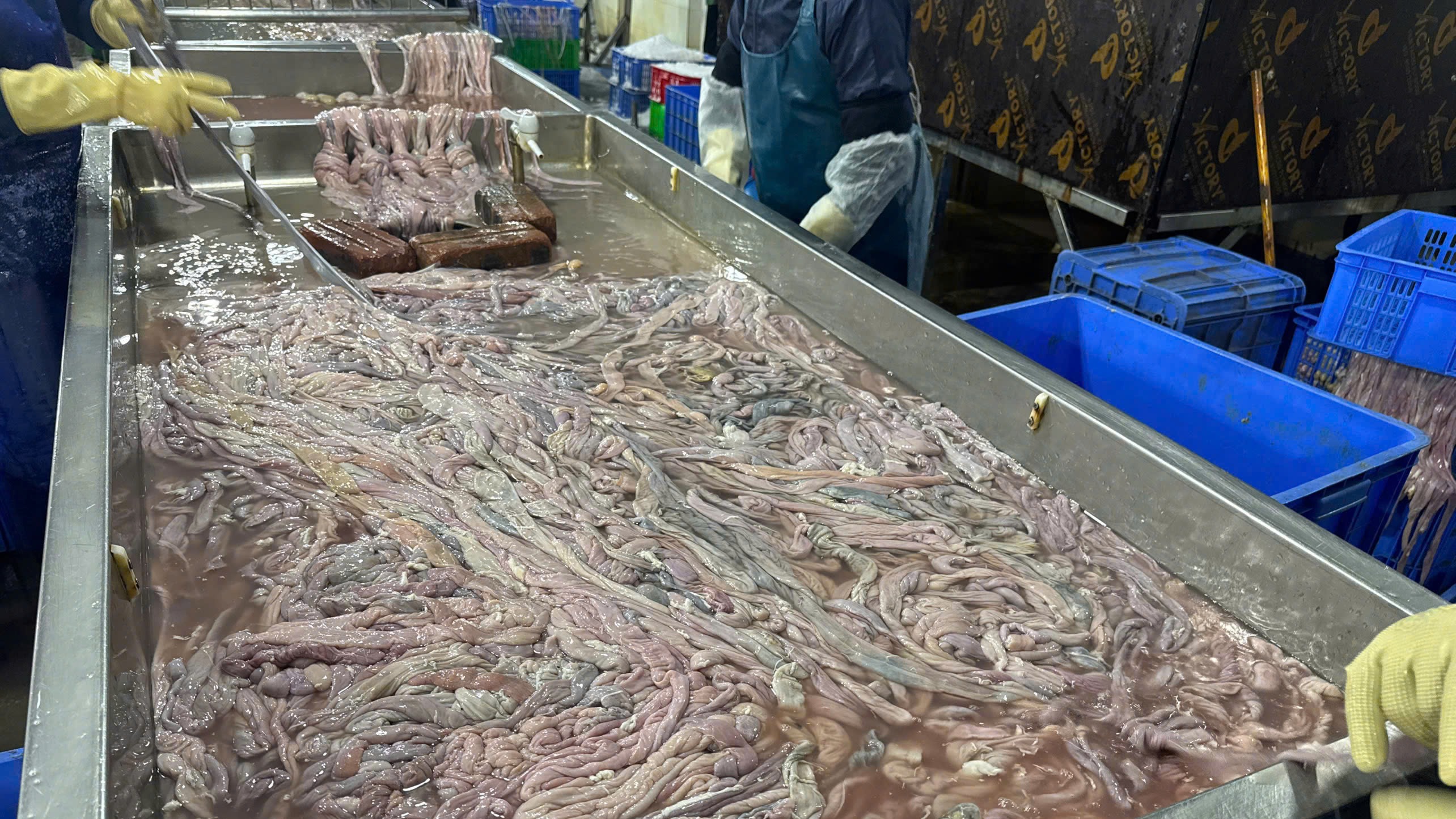 Kho lạnh chứa gần 60 tấn lòng lợn không rõ nguồn gốc