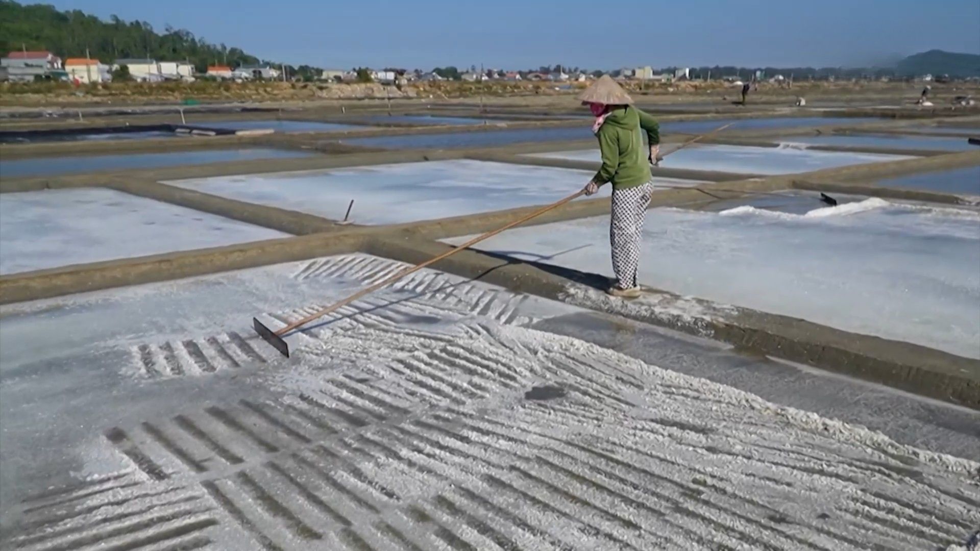 Điểm đến du lịch Quảng Ngãi | Trăm miền hội tụ | 30/01/2026