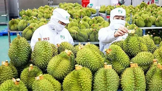 Xuất khẩu rau quả chế biến lần đầu vượt 2 tỷ USD