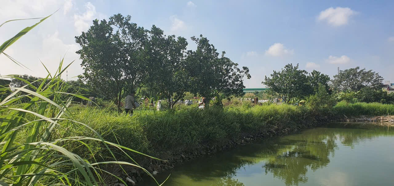 Đài PTTH Hà Nội