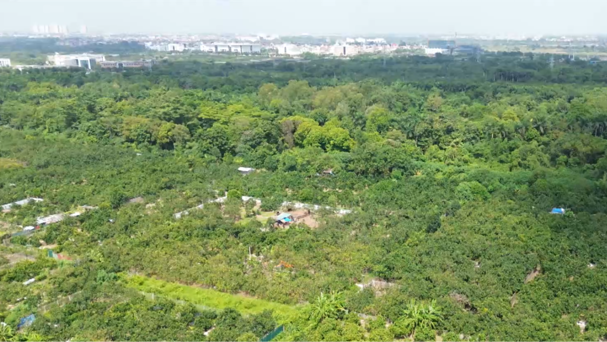 Đẩy nhanh GPMB dự án Khu Công viên công nghệ số