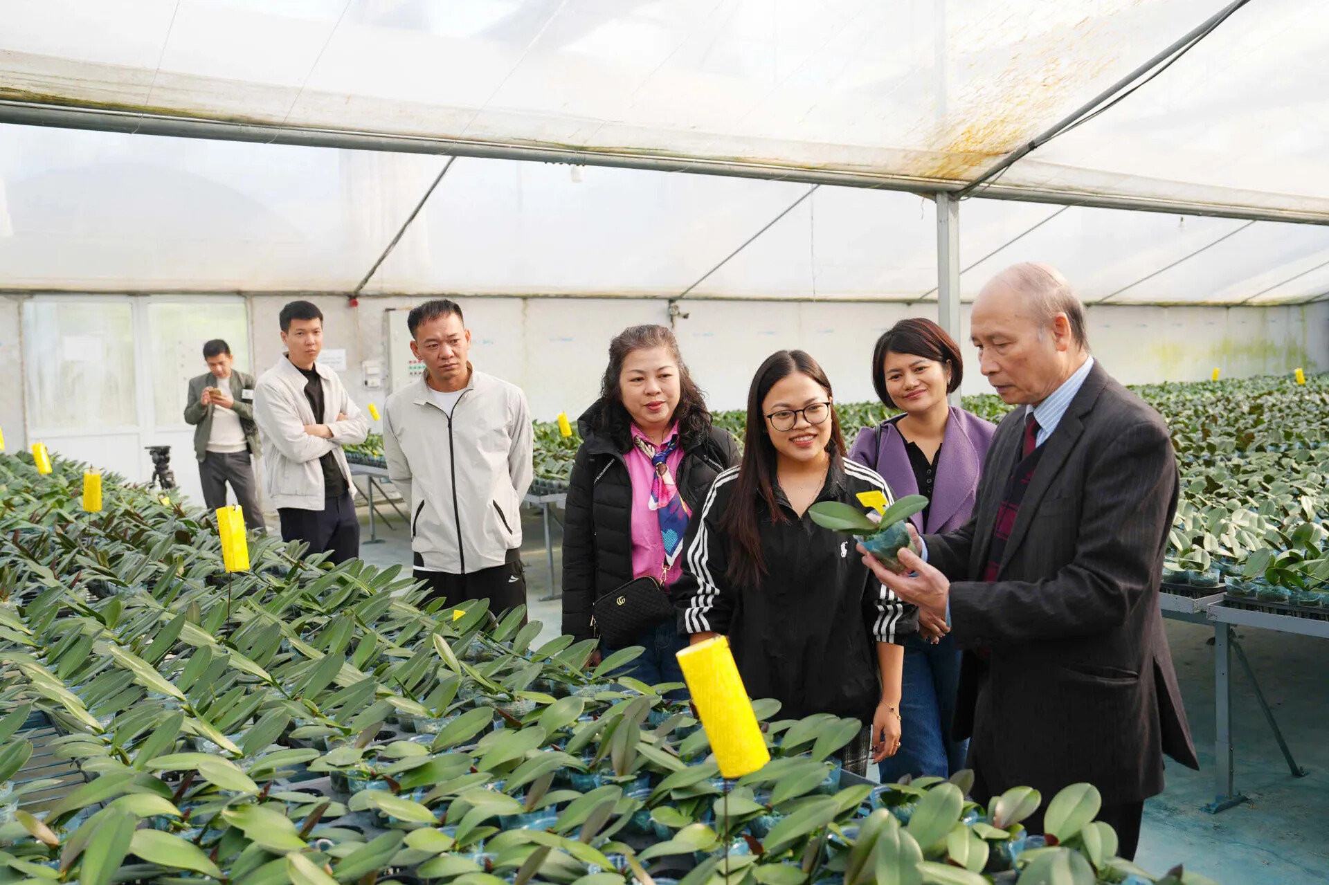 Đài PTTH Hà Nội