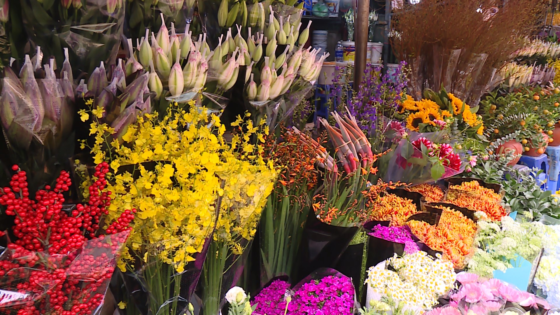 Du Xuân chợ hoa đón Tết