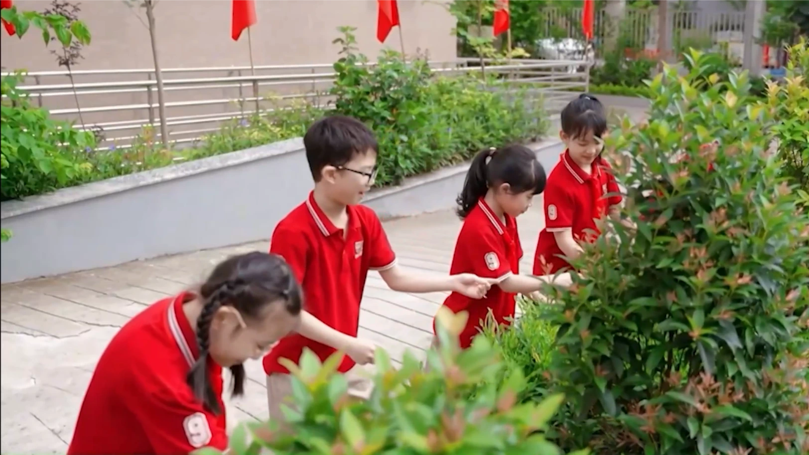 Trường học sinh thái ASEAN Việt Nam | Chuyển đổi xanh | 07/02/2026