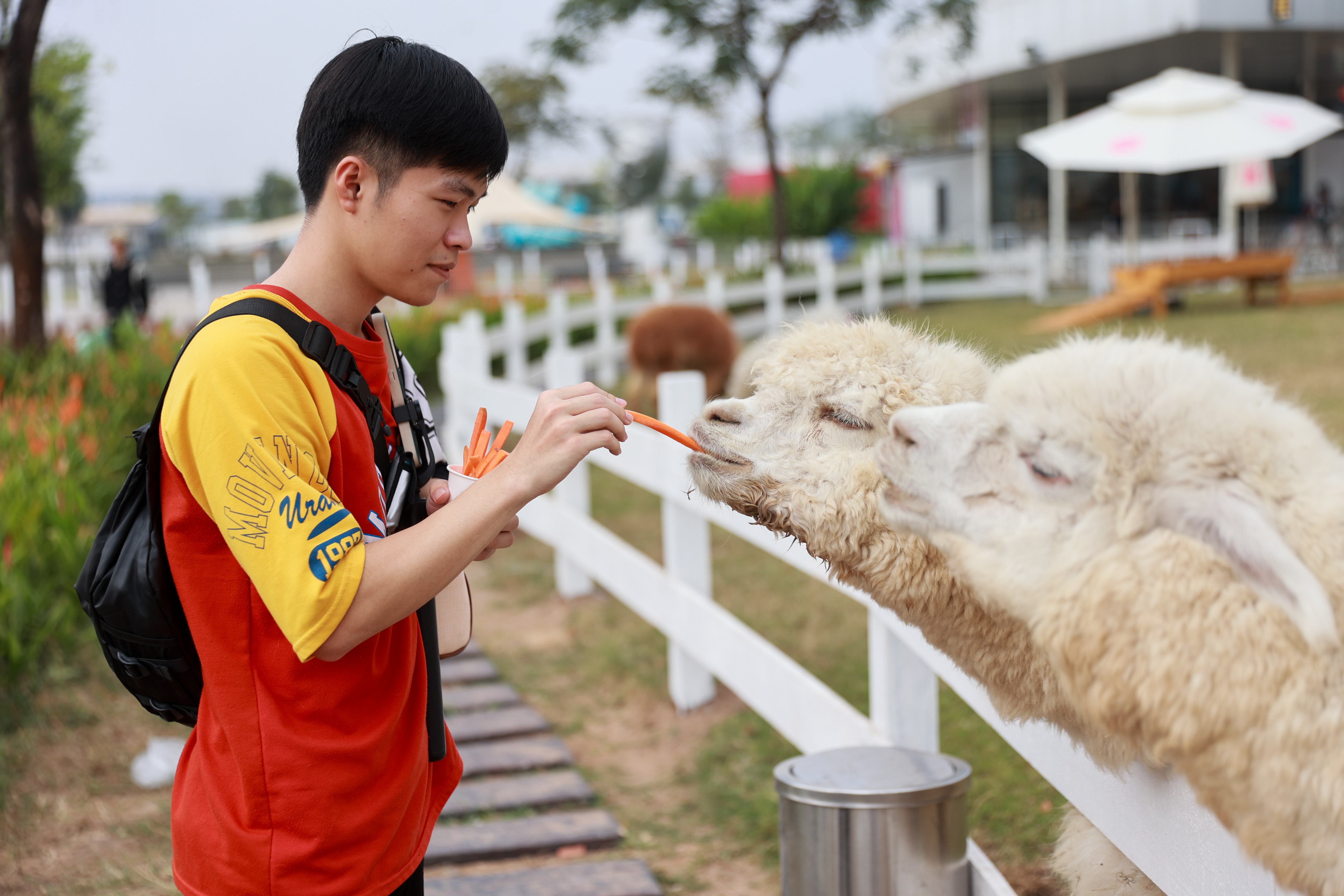 Đài PTTH Hà Nội