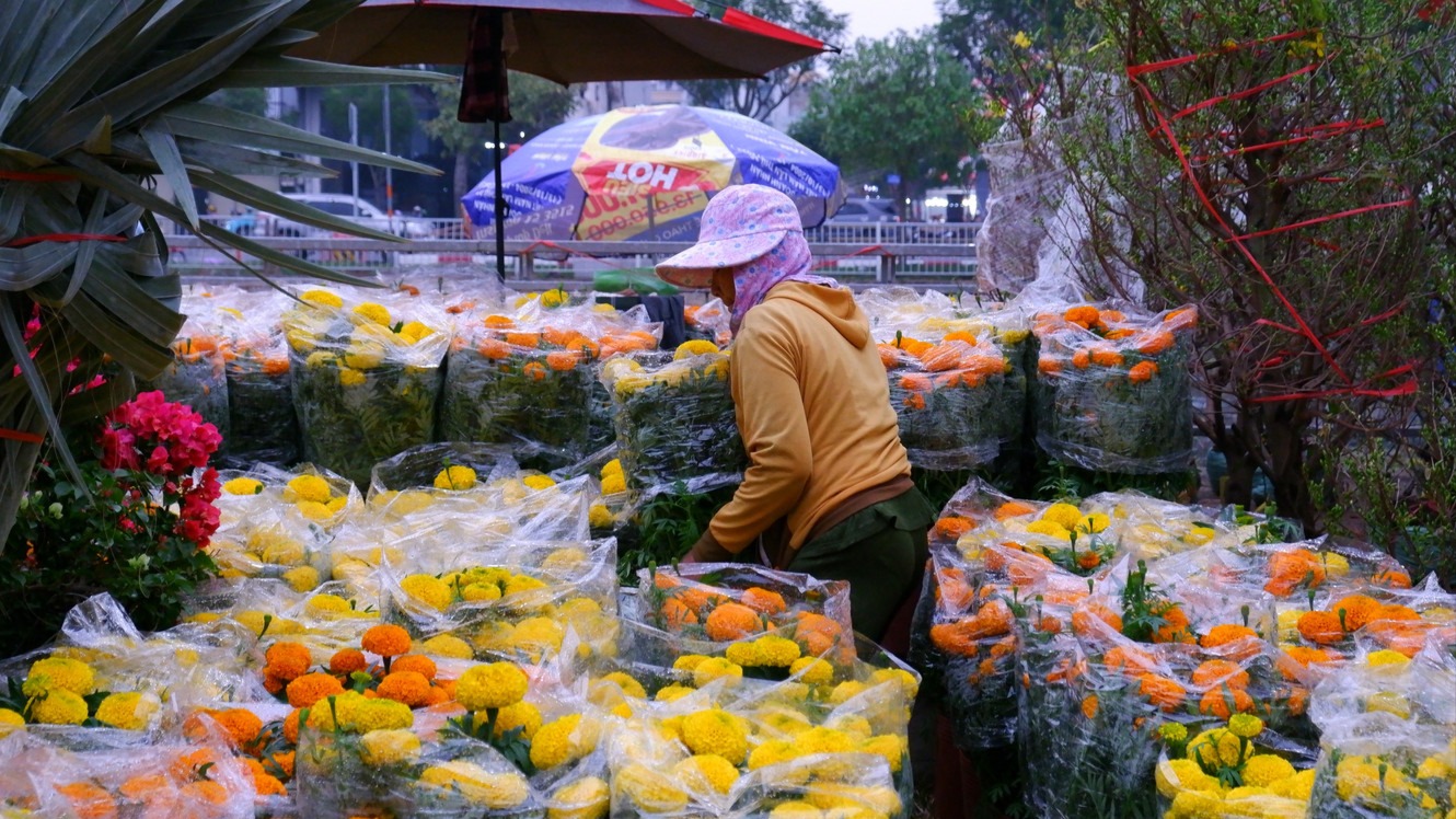 Nhộn nhịp chợ hoa 'Trên bến, dưới thuyền' những ngày cận Tết