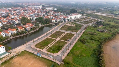 Nhiều lô đất trúng đấu giá vẫn bị bỏ trống