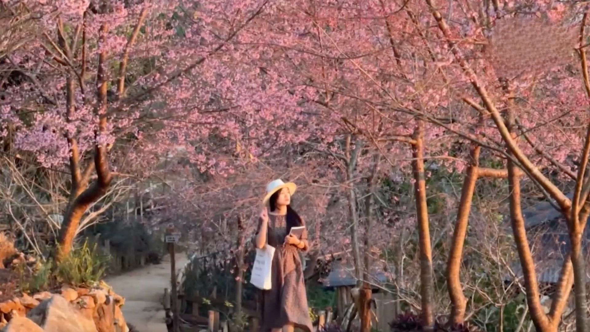 Rộn ràng sắc xuân | Trăm miền hội tụ | 13/02/2026