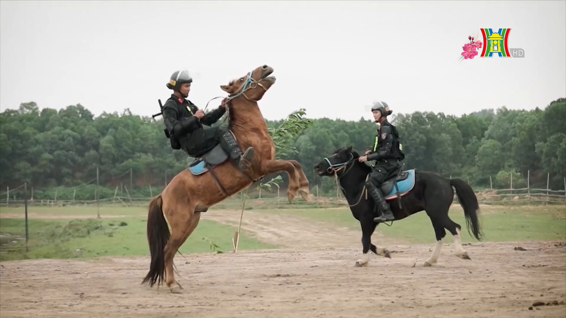 Uy Nghiêm vó thép kỵ binh | Phim tài liệu | 17/02/2026