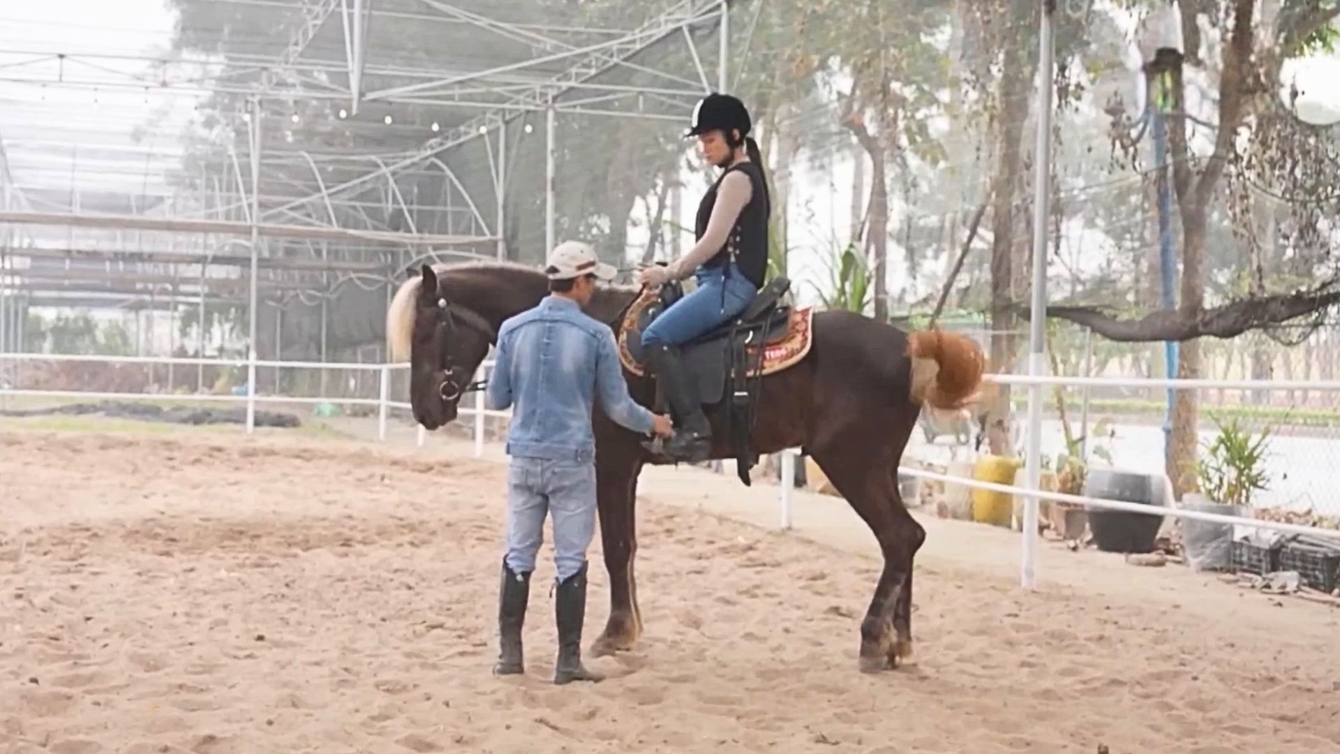 Trải nghiệm trên lưng ngựa đầu Xuân Bính Ngọ 