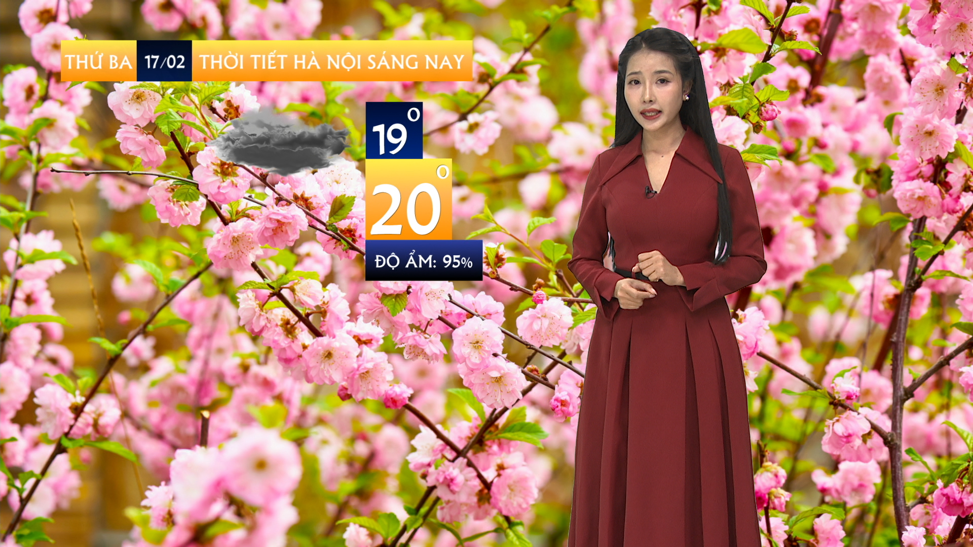 Dự báo thời tiết sáng | 17/02/2026