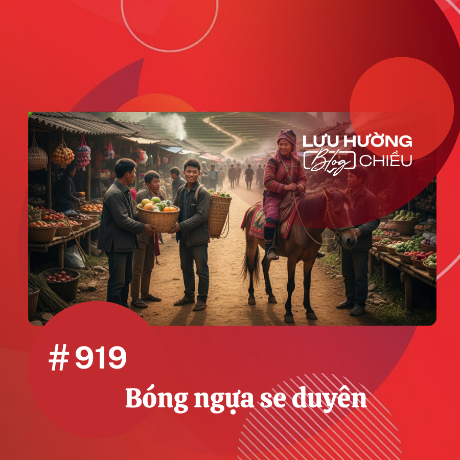 Bóng ngựa se duyên